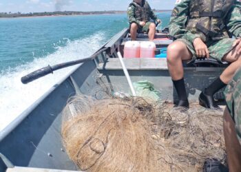 Operação Pesca 2025 resulta em 8 presos, 29 autuações e quase 80 redes de pesca apreendidas