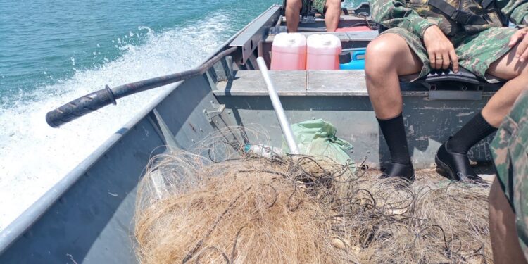 Operação Pesca 2025 resulta em 8 presos, 29 autuações e quase 80 redes de pesca apreendidas