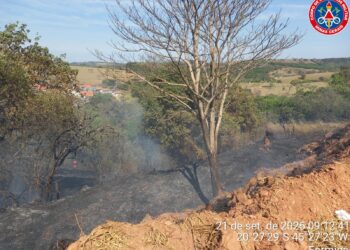 Incêndio atinge área de vegetação em Santana na manhã deste domingo