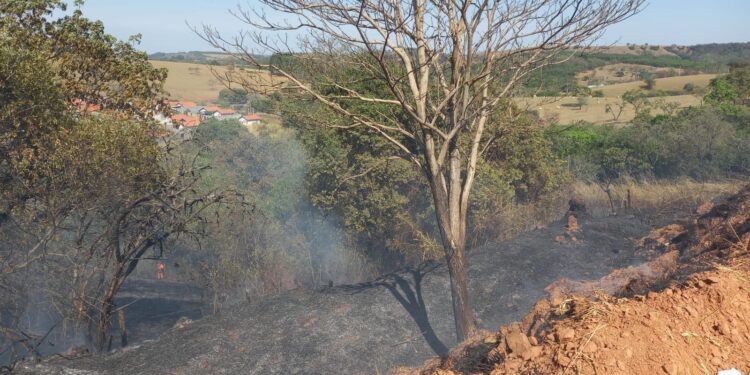 Incêndio atinge área de vegetação em Santana na manhã deste domingo