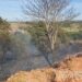 Incêndio atinge área de vegetação em Santana na manhã deste domingo