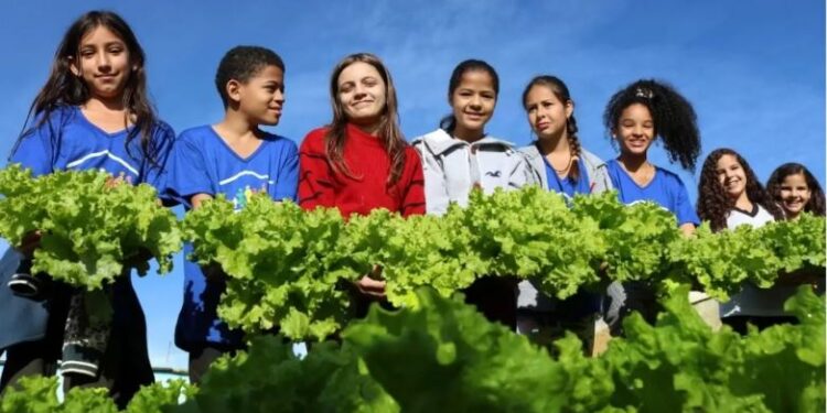 BMA de Formiga completa 18 anos com importantes conquistas para a Segurança Alimentar e Nutricional