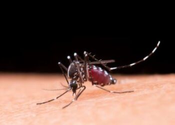 Vírus da chikungunya afeta crianças e adolescentes e deixa sequelas