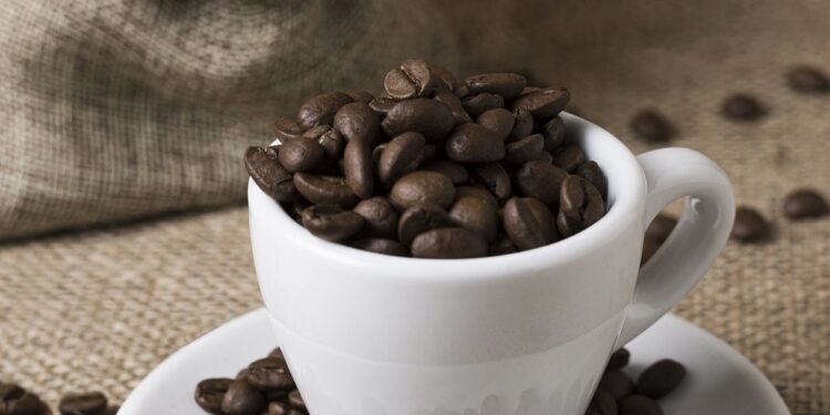 2ª edição do Concurso do Café de Córrego Fundo será realizada em outubro