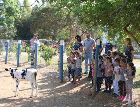Alunos do CEI Aparecida Luzia da Silva Pereira visitam Fazenda Laboratório do Unifor-MG