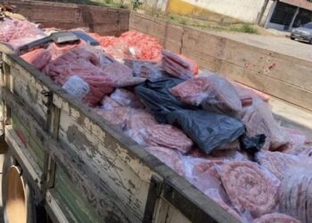 Mais de uma tonelada de carne imprópria para consumo é apreendida em Divinópolis