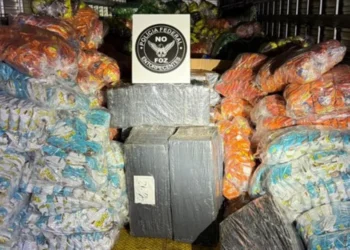 Polícia Federal apreende mais de 1 tonelada de drogas em carga de salgadinhos
