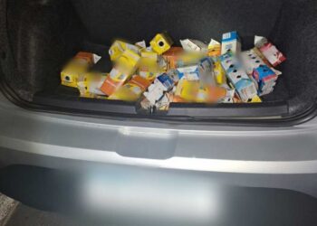 Pássaros trinca-ferros e sabiá transportados em caixas de leite são apreendidos durante ação policial na MG-050