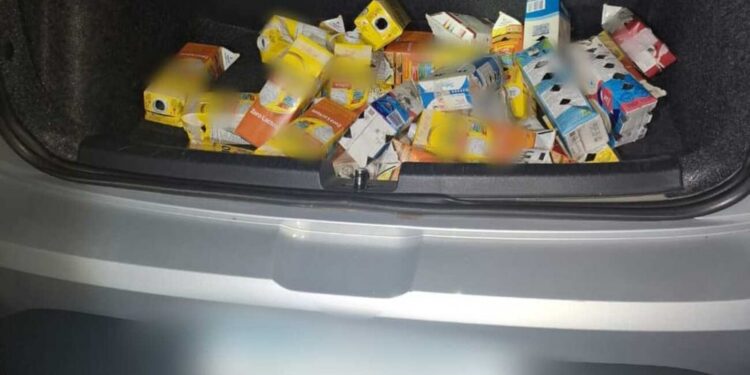 Pássaros trinca-ferros e sabiá transportados em caixas de leite são apreendidos durante ação policial na MG-050