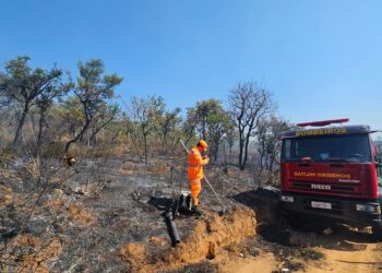 Formiga: Corpo de Bombeiros combate incêndio no Morro do Cristo
