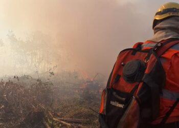 Incêndio é controlado por bombeiros na comunidade de Rodrigues em Formiga