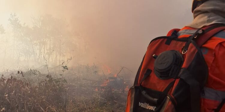 Incêndio é controlado por bombeiros na comunidade de Rodrigues em Formiga