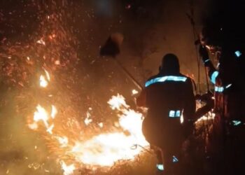 Bombeiros combatem incêndio por mais de 5 horas na BR-354