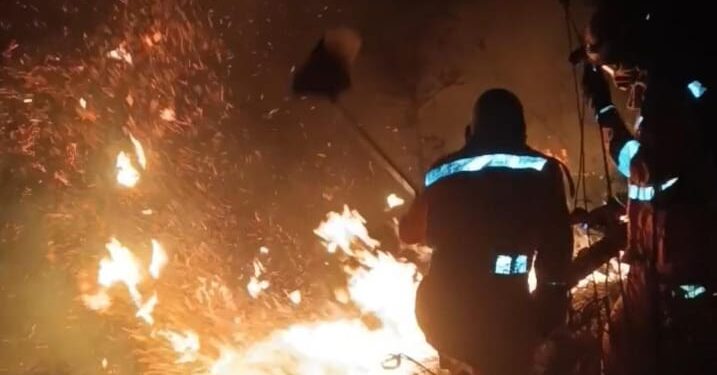 Bombeiros combatem incêndio por mais de 5 horas na BR-354