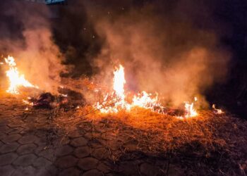 Fogo atinge vegetação em lote no Residencial dos Lagos em Formiga