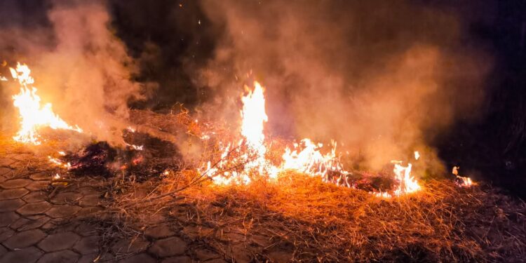 Fogo atinge vegetação em lote no Residencial dos Lagos em Formiga