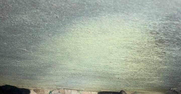 Filhotes de gato presos em vão de padrão de energia elétrica são resgatados pelos bombeiros em Formiga