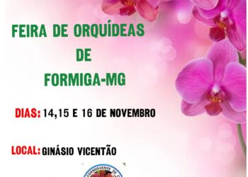 Feira de Orquídeas será realizada no Ginásio Vicentão com entrada gratuita
