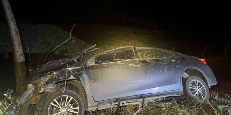 Casal fica ferido após carro atropelar cavalo na BR-354 em Iguatama