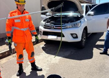 Carro é desmontado para bombeiros retirarem cobra de dentro do veículo em Campo Belo