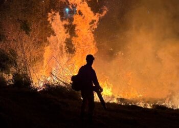 Bombeiros divulgam informações sobre incêndio em lote na Doutor Arnaldo Sena