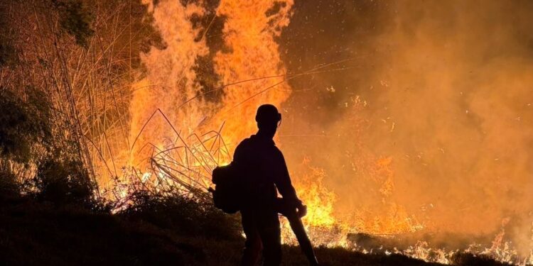 Bombeiros divulgam informações sobre incêndio em lote na Doutor Arnaldo Sena