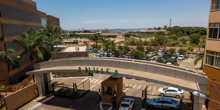 Anvisa proíbe venda de produtos de cannabis e cogumelos; saiba quais