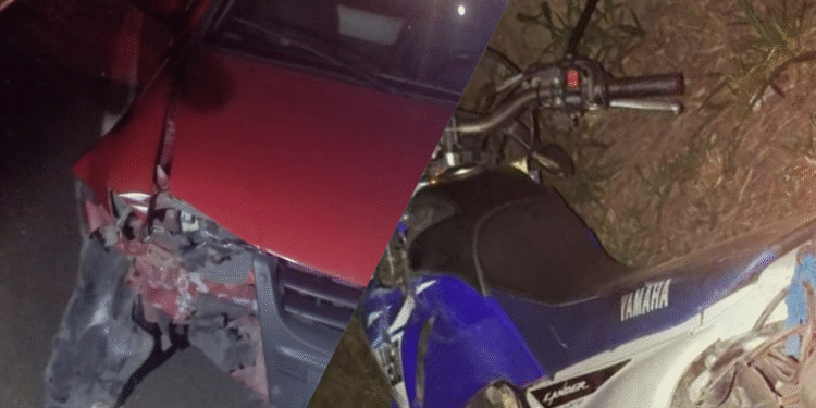 Motociclista morre após colisão com búfalos na MG-050 em Divinópolis