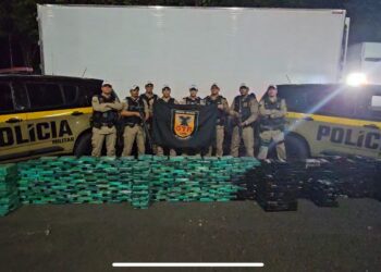 Drogas avaliadas em R$ 100 milhões são apreendidas em uma das maiores operações contra o tráfico em MG