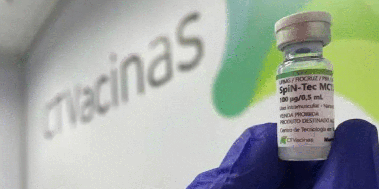 Vacina contra Covid desenvolvida pela UFMG deve chegar ao SUS no 1º semestre de 2026