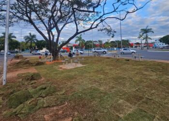 Revitalização do Complexo da Rodoviária de Formiga segue com plantio de grama