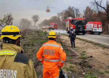 Duas pessoas morrem e duas ficam gravemente feridas em batida entre carro e carreta 