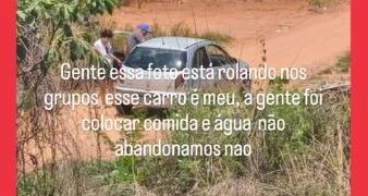 Família afirma que apenas alimentava cães abandonados no bairro Maringá em Formiga
