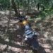 Moto furtada em Campo Belo é encontrada escondida em matagal e suspeito é preso