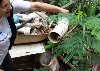 Governo de Minas mobiliza todo o estado para Dia D de combate ao Aedes aegypti