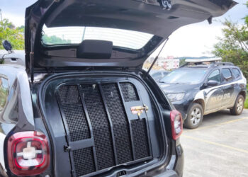 PCMG prende investigado por tráfico de drogas em Lagoa da Prata