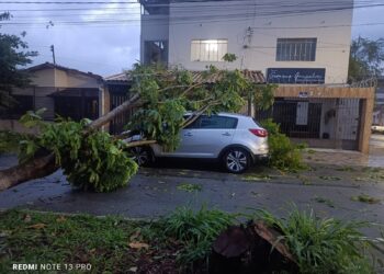 Chuva com ventania derruba árvores, alaga ruas e deixa feridos em Divinópolis