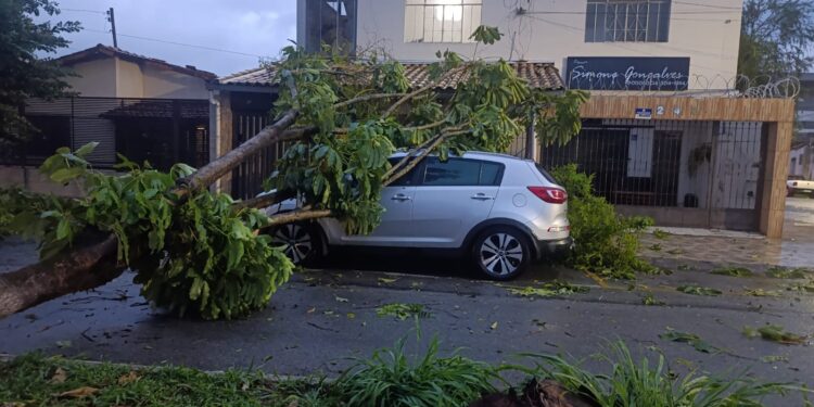 Chuva com ventania derruba árvores, alaga ruas e deixa feridos em Divinópolis