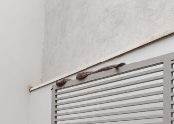 Bombeiros resgatam jiboia em garagem de residência no bairro Bela Vista em Formiga