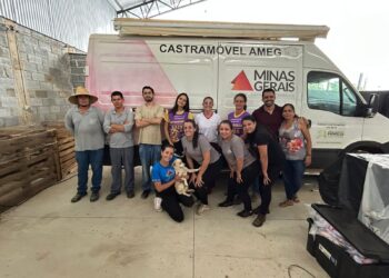 Córrego Fundo realiza 156 esterilizações de cães e gatos em programa de controle populacional