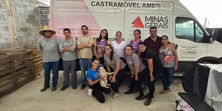 Córrego Fundo realiza 156 esterilizações de cães e gatos em programa de controle populacional