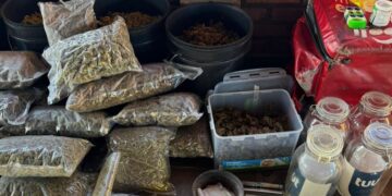 Operação ‘Crème de la Crème’ mira tráfico de drogas de alto padrão e lavagem de dinheiro em Minas