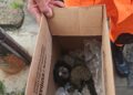Corpo de Bombeiros resgata mico-sagui em área urbana de Formiga