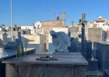 Formiga: dedetização é realizada no Cemitério do Santíssimo