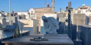 Formiga: dedetização é realizada no Cemitério do Santíssimo