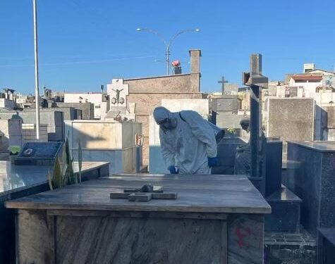 Formiga: dedetização é realizada no Cemitério do Santíssimo