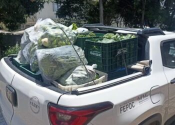 Formiga: projeto Feira Solidária segue beneficiando instituições e supera 8 toneladas de donativos em 2025