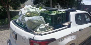 Formiga: projeto Feira Solidária segue beneficiando instituições e supera 8 toneladas de donativos em 2025