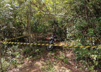 Cães do Corpo de Bombeiros atuam nas buscas por Ailton neste domingo