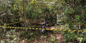 Cães do Corpo de Bombeiros atuam nas buscas por Ailton neste domingo